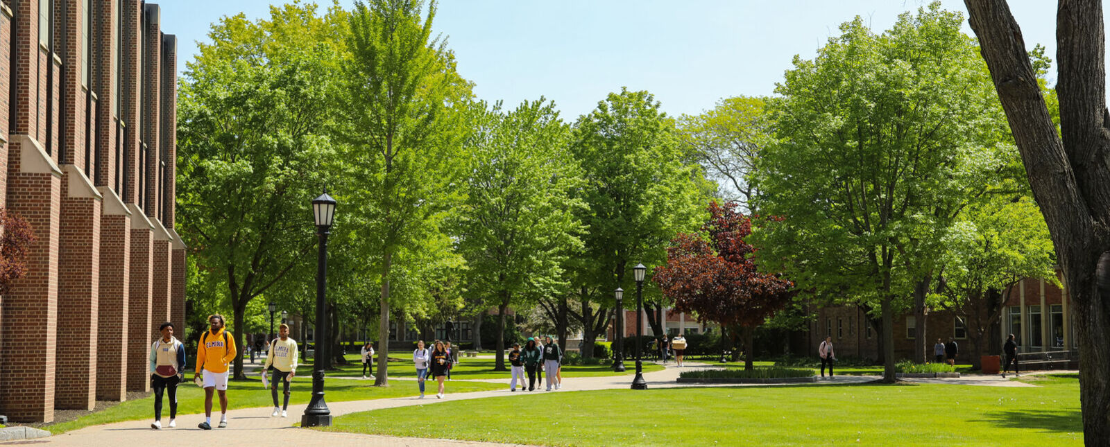 Elmira College students walk across campus on a sunny spring day. 
